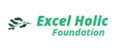 EXCEL HOLIC FOUNDATION 