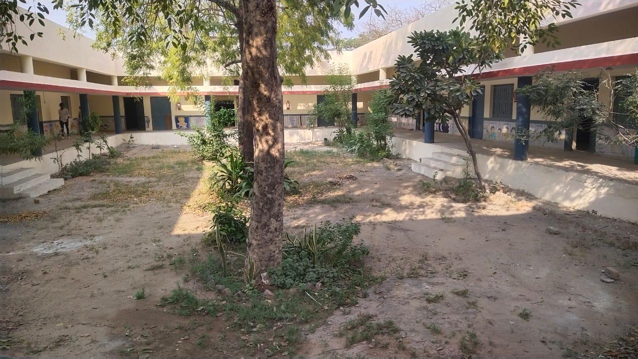 Inside school garden before transformation