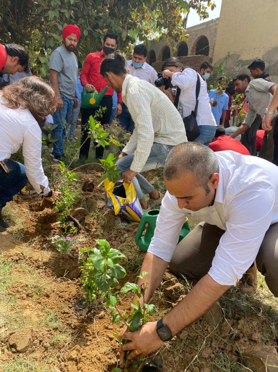 Tree Plantation Drive by Hilti India