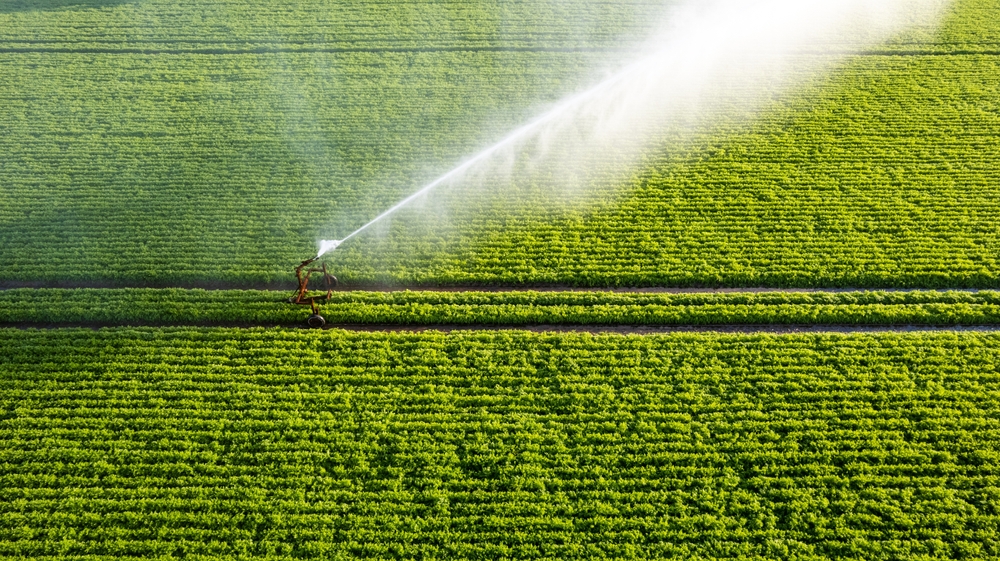Safe Water For Drinking and Agriculture: Key to a Sustainable Future